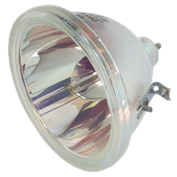LG 6912B22002B: Original Projector Bare Lamp - front view
