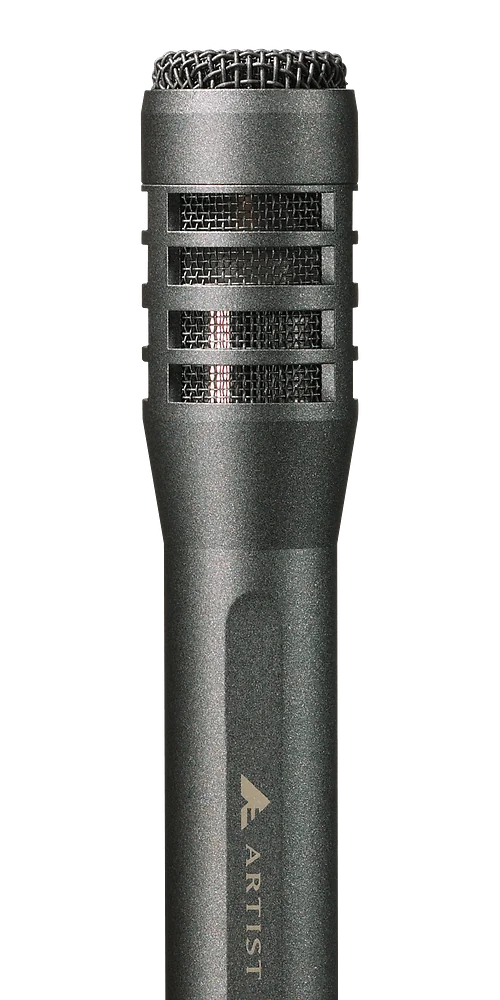 Audio-Technica AE5100 Condenser Large-Diaphragm Studio Microphone - product view 2