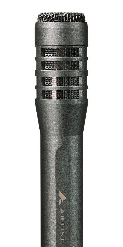 Audio-Technica AE5100 Condenser Large-Diaphragm Studio Microphone - product view 2