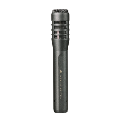 Audio-Technica AE5100 Condenser Large-Diaphragm Studio Microphone - front view