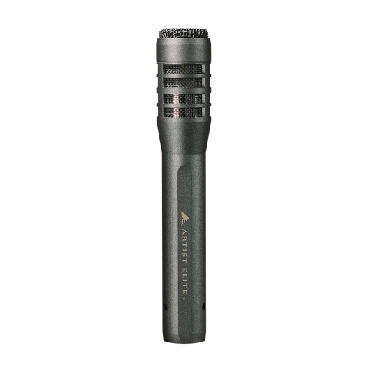Audio-Technica AE5100 Condenser Large-Diaphragm Studio Microphone - front view