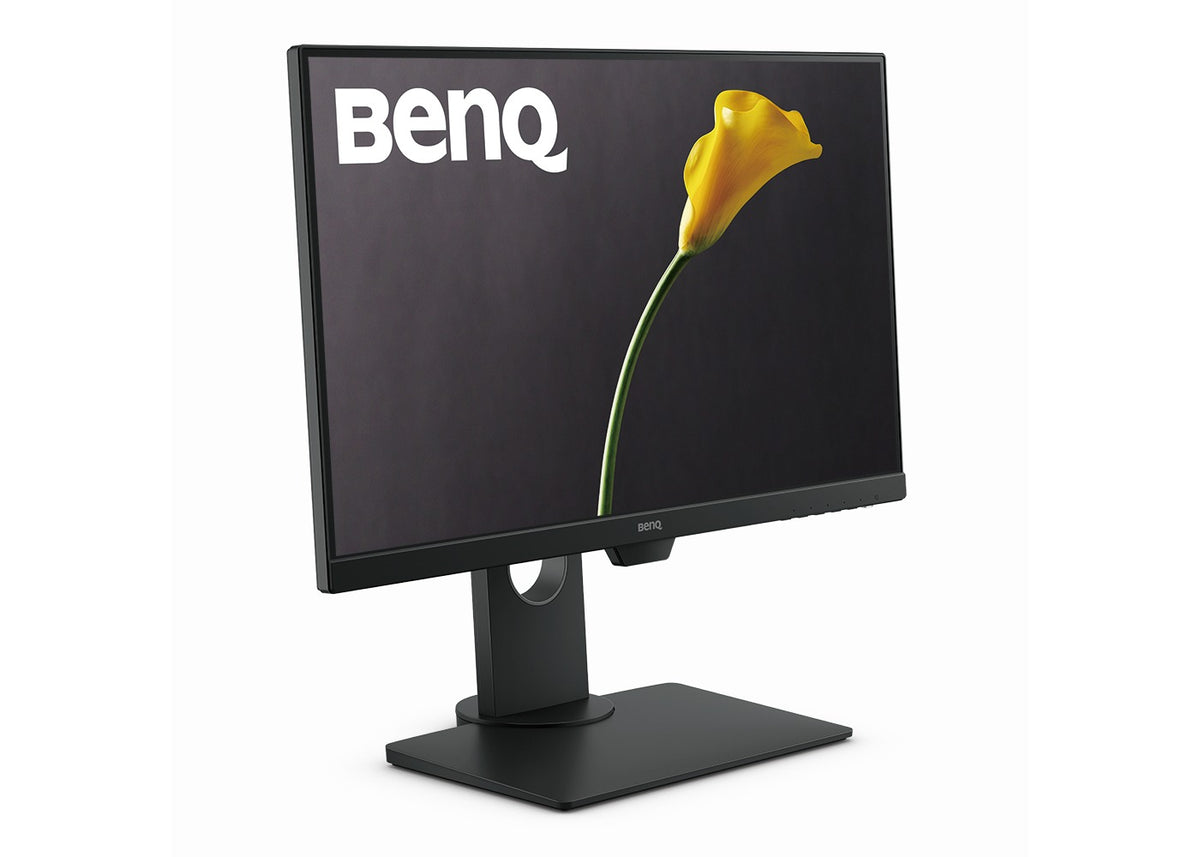 BenQ GW2480T: 23.8 - Inch 1080p Eye-Care IPS Home LED Monitors - front view