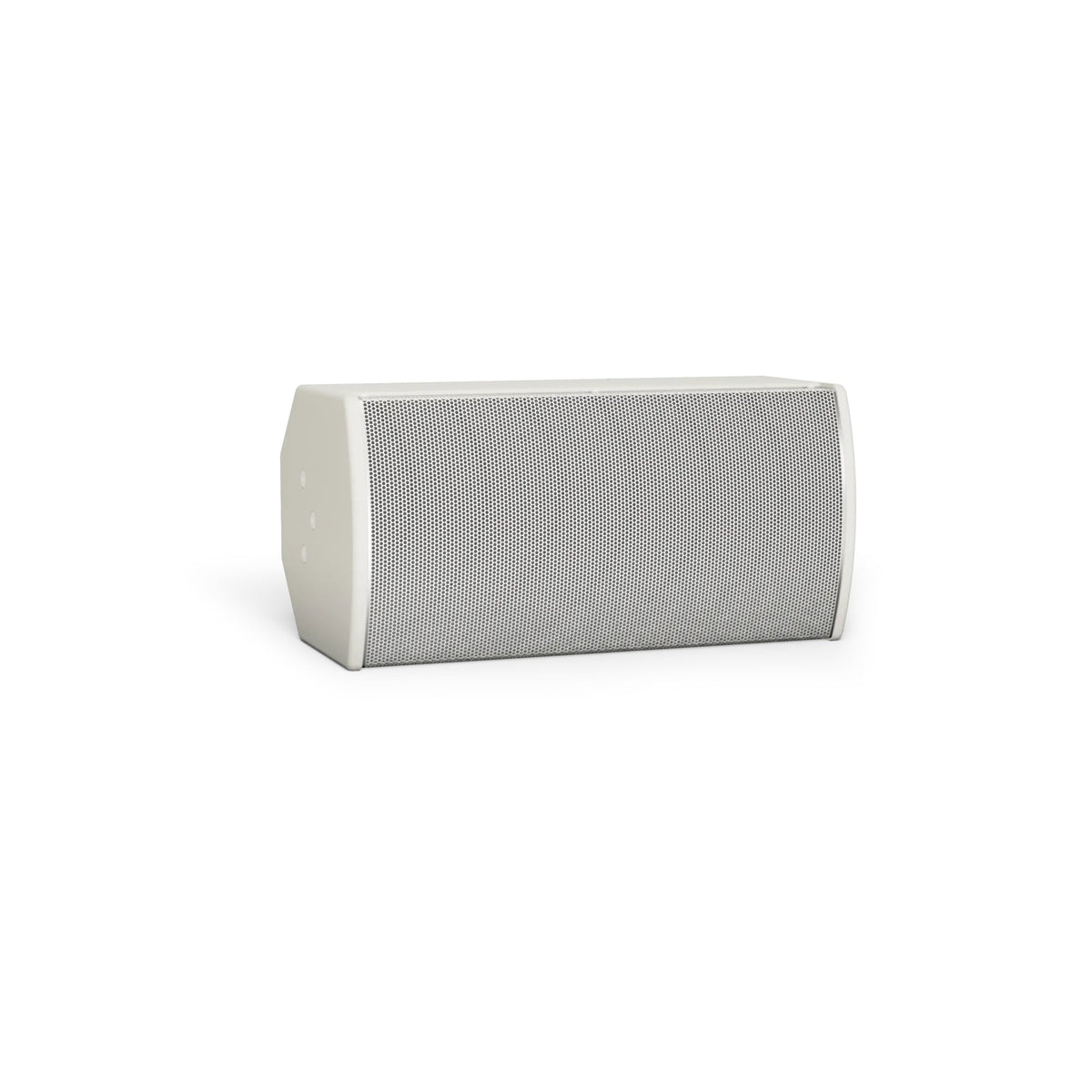 Bose ArenaMatch Utility AMU108 White loudspeaker - angled view (1 of 4)