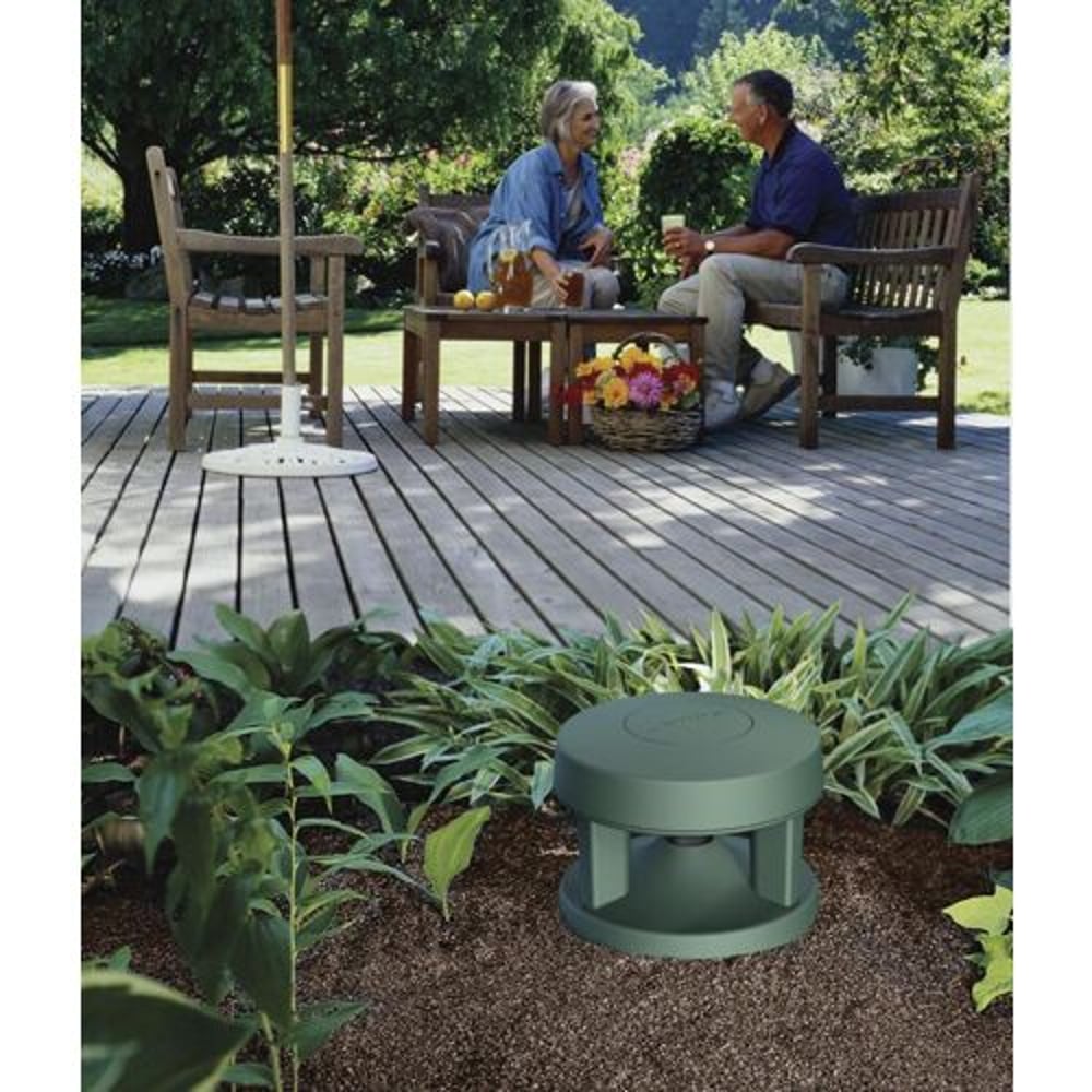 Bose FreeSpace 360P Series II Green loudspeaker - in-use view (1 of 2)