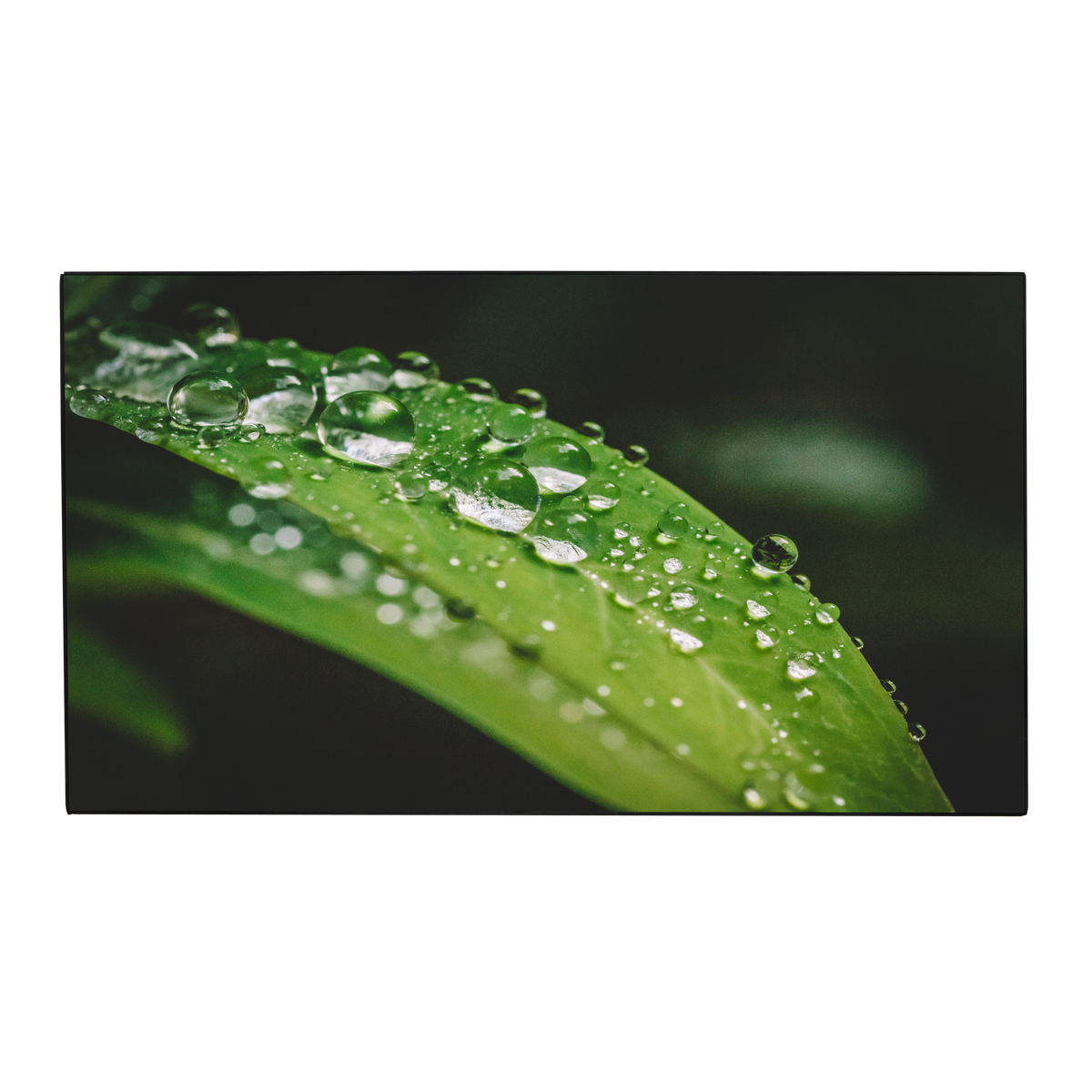 Dahua LS550UDM-UF 55 Inch Full HD Video Wall Display (1.7 mm Bezel) - product view 2