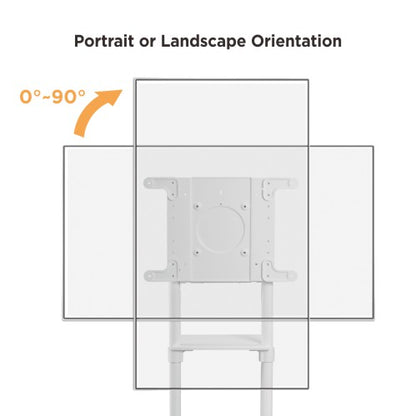 Lumi TTV11-46TW interactive display cart showing portrait and landscape screen rotation
