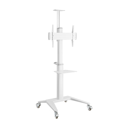 Lumi TTV12-46TW TV cart, product view, supplied in India by Corporate AV