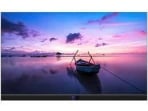 Newline DV-12023H 120 Inch Direct View LED Display - product view 4