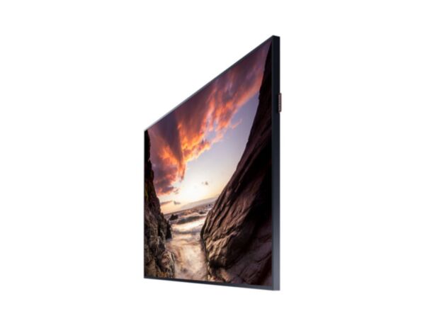 Samsung PMF Series 32 Inch: 16/7 Professional Display - angled view (3 of 3)