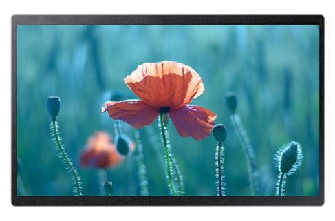 Samsung QB24R-B: 24 Inch Full HD 16/7 Small-Format Smart Signage Display - front view