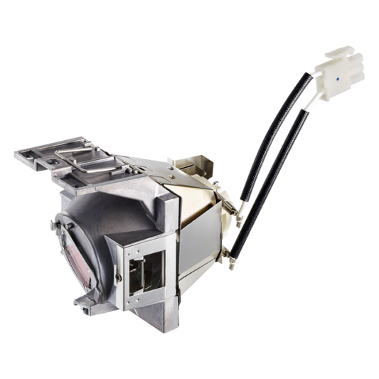 ViewSonic RLC-116 Genuine Replacement Lamp - front view